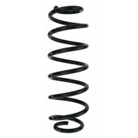 Fahrwerksfeder-Set hinten Schraubenfeder 302mm SPIDAN...