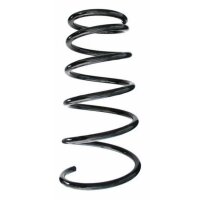 Fahrwerksfeder-Set vorne Schraubenfeder 314mm SPIDAN...