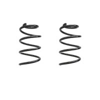 Fahrwerksfeder-Set vorne Schraubenfeder 385mm SPIDAN...
