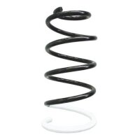 Fahrwerksfeder-Set vorne Schraubenfeder 385mm SPIDAN...