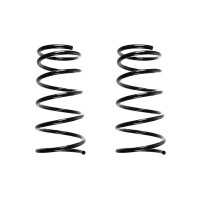 Suspension spring set rear coil spring 315mm SPIDAN for...
