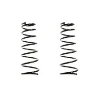 Fahrwerksfedern-Set hinten Schraubenfeder 402mm SPIDAN...