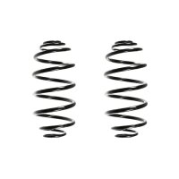 Suspension spring set rear coil spring 318mm SPIDAN for...