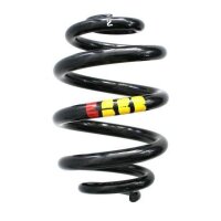Fahrwerksfeder-Set hinten Schraubenfeder 255mm SPIDAN...