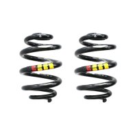 Fahrwerksfedern-Set hinten Schraubenfeder 255mm SPIDAN...