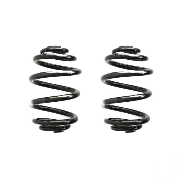 Fahrwerksfeder-Set SPIDAN für BMW Z4 Roadster