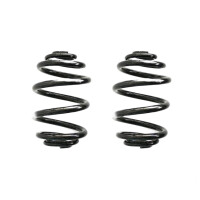 Fahrwerksfeder-Set SPIDAN für BMW Z4 Roadster