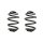 Fahrwerksfedern-Set Spiralfeder SPIDAN für u.a. BMW Z4 Roadster