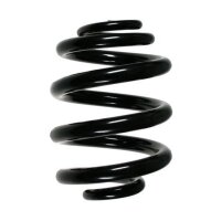Fahrwerksfeder-Set hinten Schraubenfeder 249mm SPIDAN...