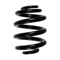 Suspension spring set rear coil spring 249mm SPIDAN for...