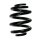 Fahrwerksfeder-Set hinten Schraubenfeder 249mm SPIDAN für VW TRANSPORTER T6