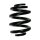 Suspension spring set rear coil spring 249mm SPIDAN for VW TRANSPORTER T6