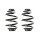 Fahrwerksfeder-Set hinten Schraubenfeder 251mm SPIDAN für BMW 3 (E46)