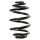 Fahrwerksfeder-Set hinten Schraubenfeder 251mm SPIDAN für BMW 3 (E46)