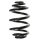 Suspension spring set rear coil spring 251mm SPIDAN for BMW 3 E46