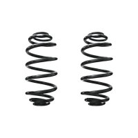 Fahrwerksfeder-Set hinten Schraubenfeder 309mm SPIDAN...