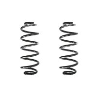 Fahrwerksfeder-Set hinten Schraubenfeder 317mm SPIDAN...
