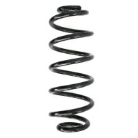 Fahrwerksfeder-Set hinten Schraubenfeder 317mm SPIDAN...