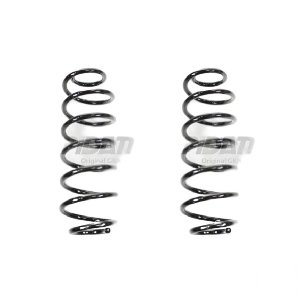 Suspension spring set rear coil spring 320mm SPIDAN for FORD FIESTA VI