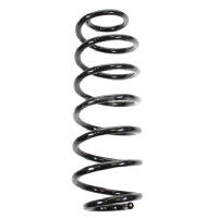 Fahrwerksfedern-Set hinten Schraubenfeder 320mm SPIDAN...