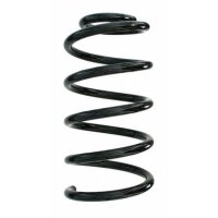 Fahrwerksfeder-Set hinten Schraubenfeder 243mm SPIDAN...