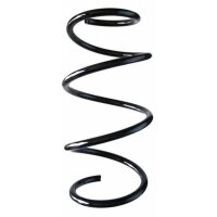 Fahrwerksfeder-Set vorne Schraubenfeder 323mm SPIDAN...