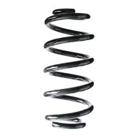 Fahrwerksfeder-Set hinten Schraubenfeder 256mm SPIDAN...