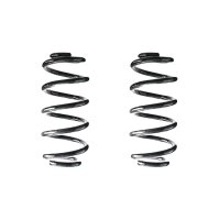 Suspension spring set rear coil spring 256mm SPIDAN for...