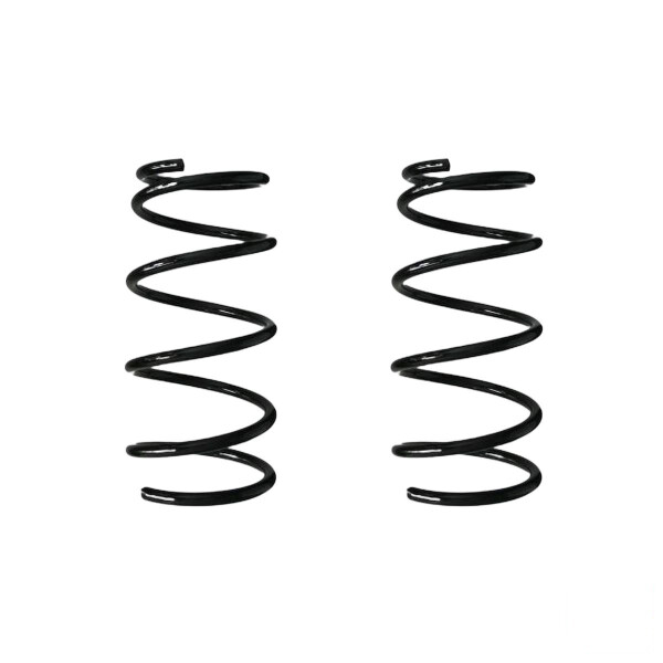 Suspension spring set rear coil spring 307mm SPIDAN for LIANA ER