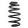 Fahrwerksfeder-Set hinten Schraubenfeder 258mm SPIDAN für AUDI A4 B6