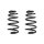 Suspension spring set rear coil spring 258mm SPIDAN for AUDI A4 B6
