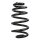 Suspension spring set rear coil spring 258mm SPIDAN for AUDI A4 B6