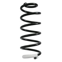 Fahrwerksfeder-Set hinten Schraubenfeder 284mm SPIDAN...