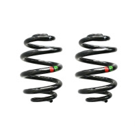 Fahrwerksfedern-Set Spiralfeder SPIDAN für u.a. VW...