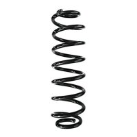 Fahrwerksfeder-Set hinten Schraubenfeder 314mm SPIDAN...