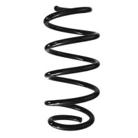 Fahrwerksfeder-Set vorne Schraubenfeder 306mm SPIDAN...