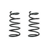 Fahrwerksfeder-Set vorne Schraubenfeder 298mm SPIDAN...