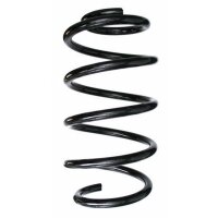 Fahrwerksfeder-Set vorne Schraubenfeder 307mm SPIDAN...