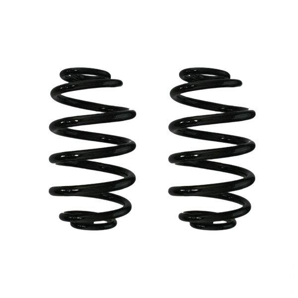 Suspension spring set rear coil spring 220mm SPIDAN for RENAULT THALIA I