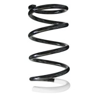 Fahrwerksfeder-Set hinten Schraubenfeder 262mm mit...