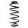 Fahrwerksfeder-Set hinten Schraubenfeder 286mm SPIDAN für AUDI TT Roadster