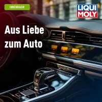 Kunststofftiefenpflege LIQUI MOLY 1536 Oldtimer Klassiker Kunststoffpflege 500ml
