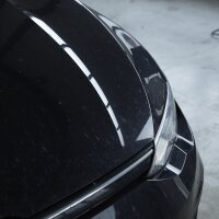 Insect remover 500 ml in a pump spray bottle LIQUI MOLY for stubborn dirt