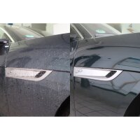 Paint sealant 500 ml spray bottle LIQUI MOLY for all-round carefree sealing