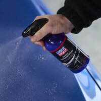 Paint sealant 500 ml spray bottle LIQUI MOLY for all-round carefree sealing