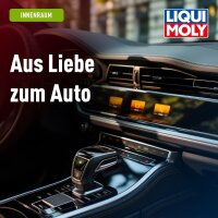 Displayreiniger LIQUI MOLY 21634  Displaypflege Glas-/Scheibenreiniger 100ml