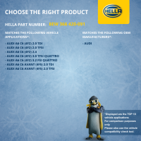 Lüfter, Motorkühlung 12V 250W Ø383mm HELLA für AUDI A6 C6 (4F2) 3.0 quattro