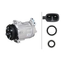 Kompressor Klimaanlage 12V R 134a/R 1234yf HELLA für FIAT DUCATO (250_) Multijet