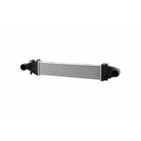 Ladeluftkühler Aluminium/Kunststoff HELLA für...