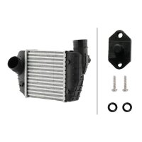Ladeluftkühler Aluminium/Kunststoff HELLA für AUDI A6 C6 (4F2) 2.0 TDI